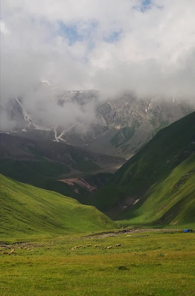 Paysage Été Haut Dans Les Montagnes Sauvages — Photo