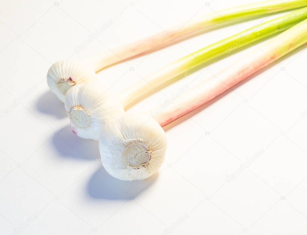 Young Garlic On White Background. Isolate