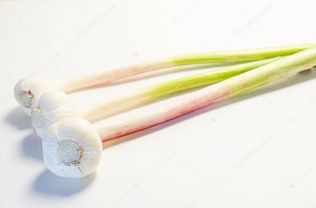Young Garlic On White Background. Isolate
