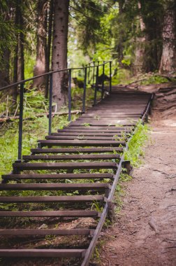 Ormanda merdivenleri olan eski tahta köprü.