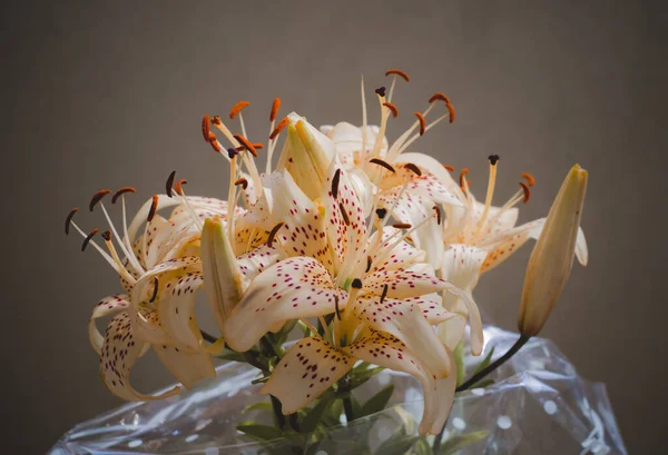 Lilies Bouquet Window Sill Sunny — Stock Photo, Image