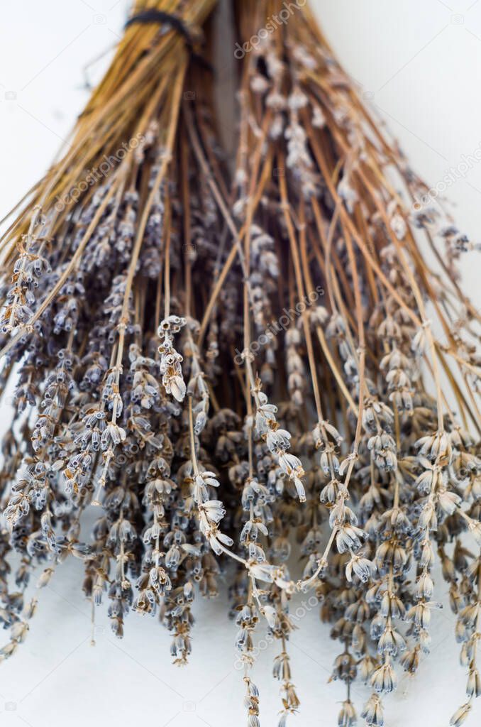 Bunch of dried lavender on a white background.