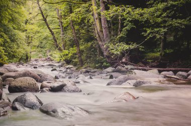 Dağ nehri uzun süre korunuyor. Georgia.