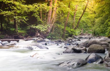 Dağ nehri uzun süre korunuyor. Georgia.