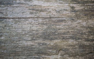 Ağaç kabuğunun dokusu Doğal Arkaplan olarak kullanılıyor. Boşluğu kopyala