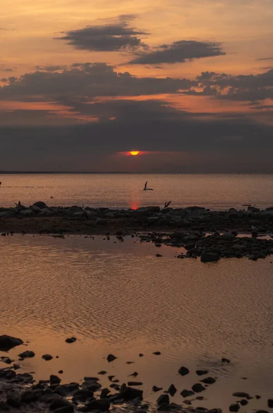 夏の日没時にフィンランド湾の砂岩の海岸 — ストック写真