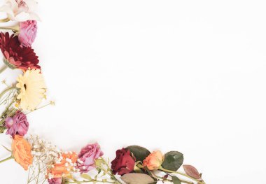 Çiçek aranjmanı. Beyaz bir arka planda çiçek çerçevesi. Düz dizme, üst görünüm, kopyalama alanı