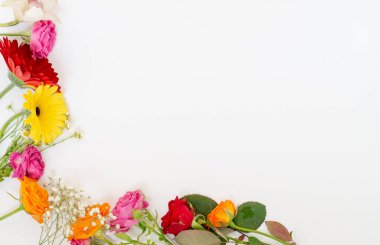 Çiçek aranjmanı. Beyaz bir arka planda çiçek çerçevesi. Düz dizme, üst görünüm, kopyalama alanı