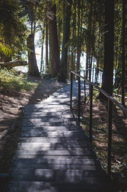 Sonbahar ormanındaki merdivenler nehre çıkıyor.