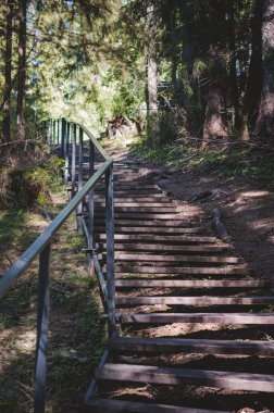 Sonbahar ormanındaki merdivenler nehre çıkıyor.