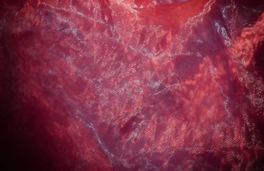 Arkaplan için pembe ve mor şifon kumaş dokusu