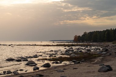 Finlandiya Körfezi 'nde gün batımı, Rusya.