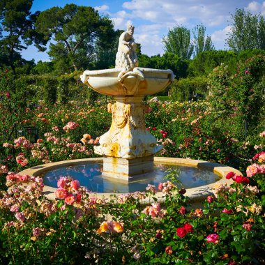 İspanya 'nın El Retiro e Madrid parkındaki gül bahçesindeki satirin kaynağı.