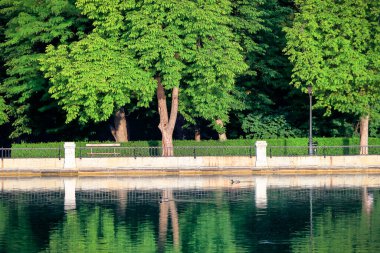 Madrid, İspanya 'daki El Retiro park göleti güneşli bir bahar sabahı.