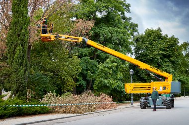 Madrid, İspanya - 16 Haziran 2020: Bahçıvanlar en yüksek ağaç dallarını özel Haulotte makineleriyle kestiler