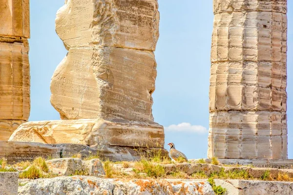 Αρχαίο Ελληνικό Ναό Του Ποσειδώνα Στο Σούνιο Αθήνα Ελλάδα — Φωτογραφία Αρχείου