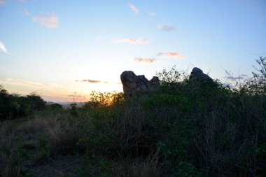 Limoeiro, Pernambuco devlet, Brezilya günbatımında sıcak renkler ile aydınlatılmış Brezilya kuzeydoğu yarı kurak bitki örtüsü.