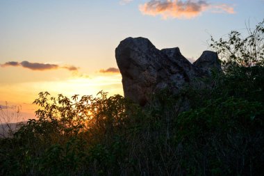 Limoeiro, Pernambuco devlet, Brezilya günbatımında sıcak renkler ile aydınlatılmış Brezilya kuzeydoğu yarı kurak bitki örtüsü.