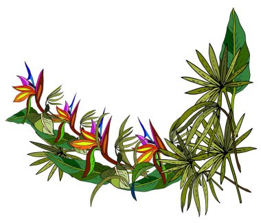 Tropikal palmiye ağaçları, egzotik bitkiler yaprakları. Renkli çizimi. 