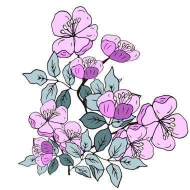 Gül buketi. Kuşburnu Çiçekleri. Selamlar, davetiyeler için vektör çizimi.