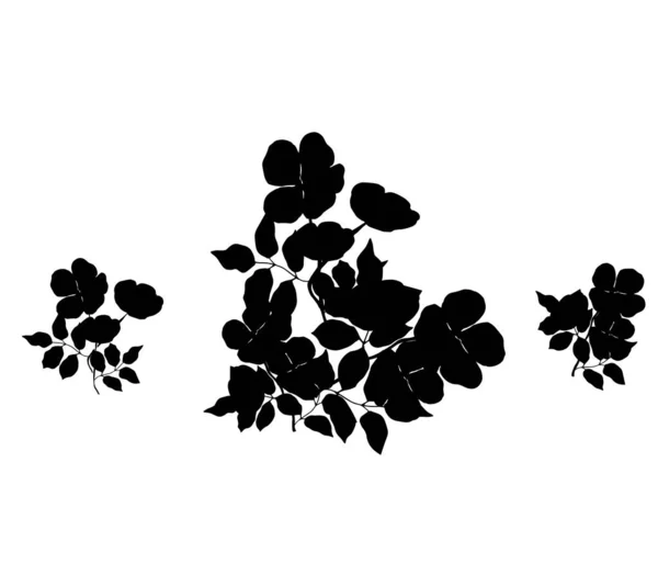 Silhouette Brindilles Fleurs Pour Design Illustration Vectorielle — Image vectorielle