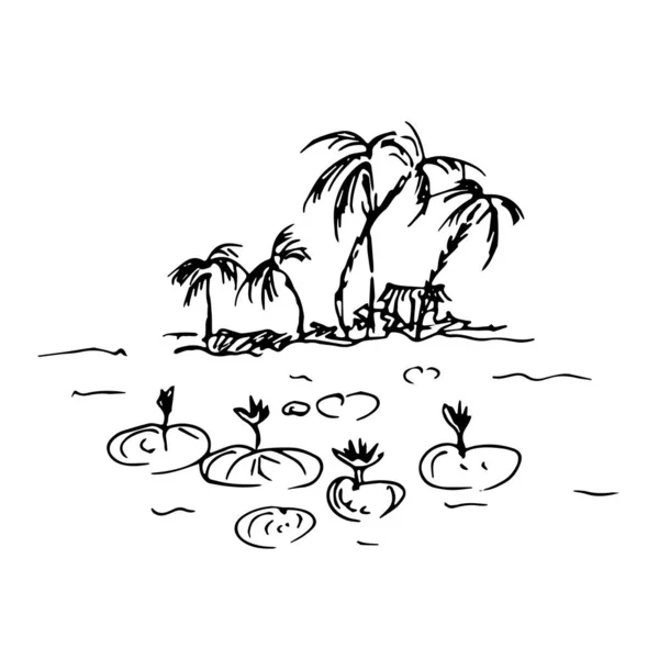 Pláž Palmami Lotosy Vodě Čára Vektorová Ilustrace — Stockový vektor