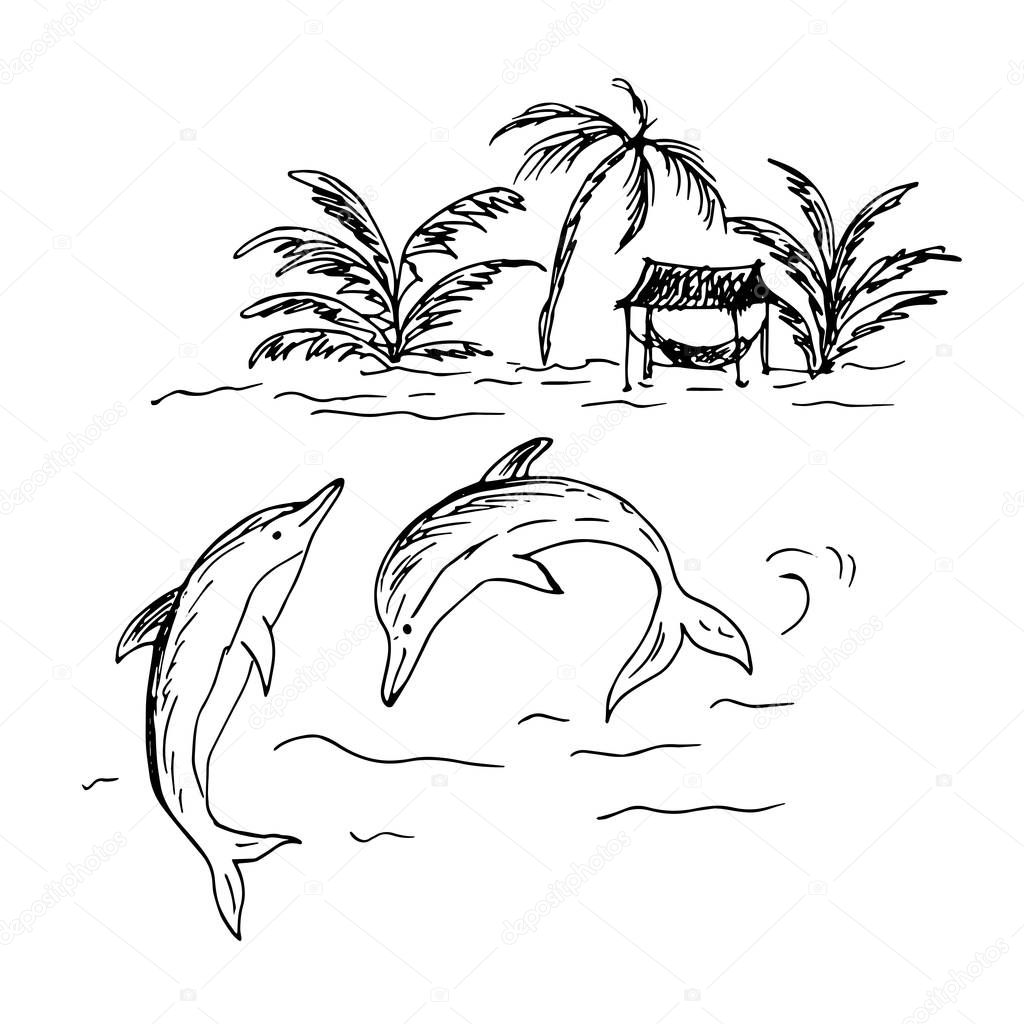 Beach With Palm Trees And Jumping Dolphins In The Sea Line Drawing Vector Illustration Premium Vector In Adobe Illustrator Ai Ai Format Encapsulated Postscript Eps Eps Format