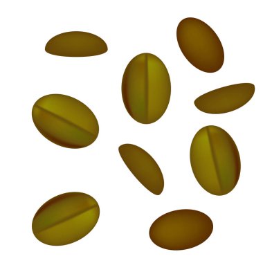 Beyaz kahve çekirdekleri, vektör illüstrasyonu