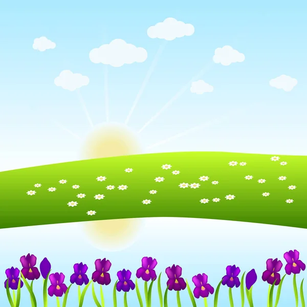 Cartoon Field Sun Lake Flowers Vector Illustration — Stock Vector