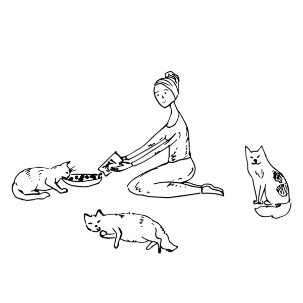 Mujer Dibujado Mano Alimentación Gatos Vector Ilustración — Archivo Imágenes Vectoriales