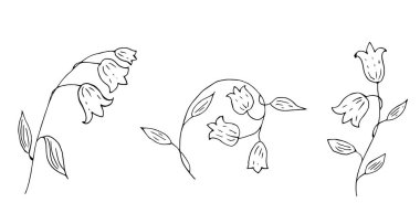 Çan çiçeklerinin vektör çizimi, botanik bitkisi 