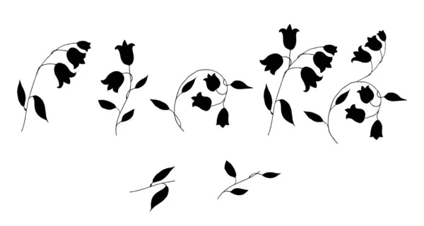 Vector Illustration Bell Flowers Botany Flora — Stock Vector