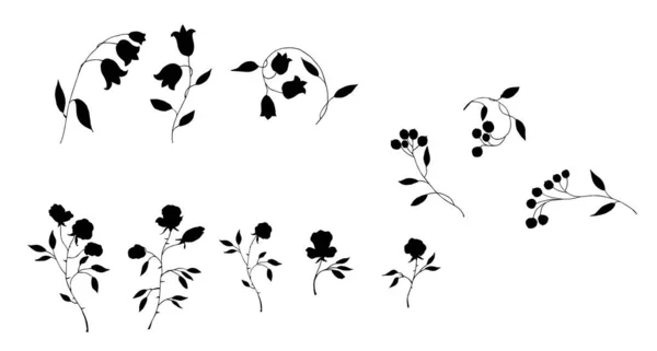 Bayas Ramas Ramas Florales Arte Vectorial — Vector de stock