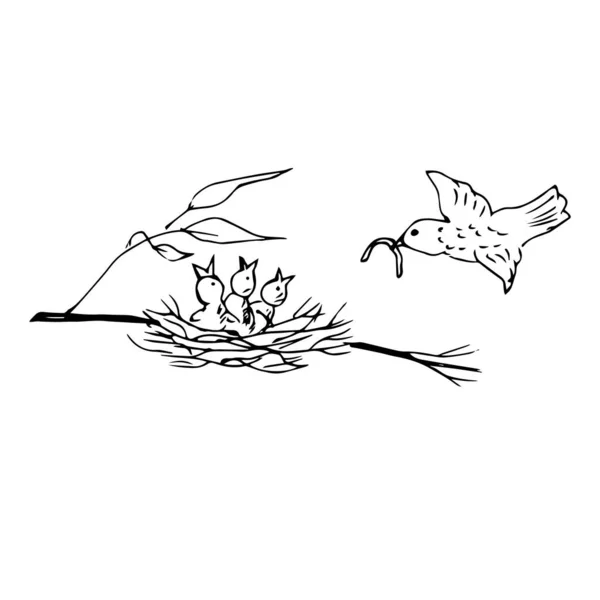 Zwart Wit Vector Illustratie Van Vogel Vliegen Naar Nest Het — Stockvector
