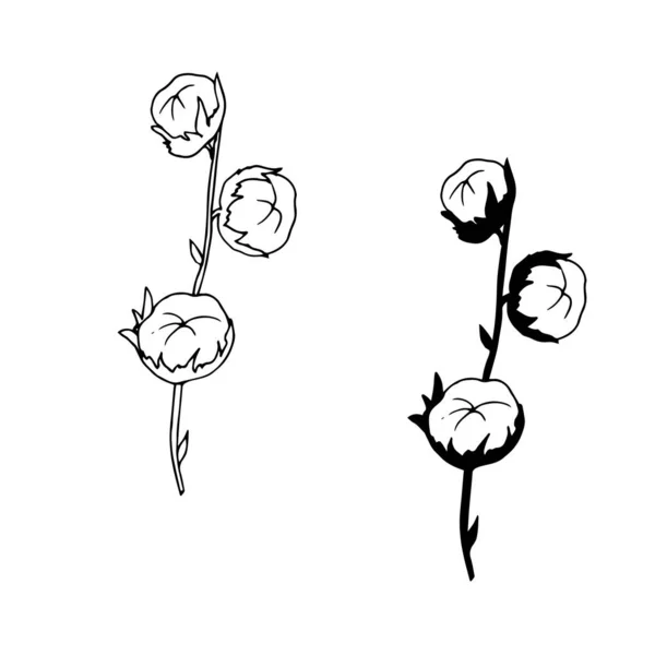 Vektorová Ilustrace Květin Botanická Flóra — Stockový vektor