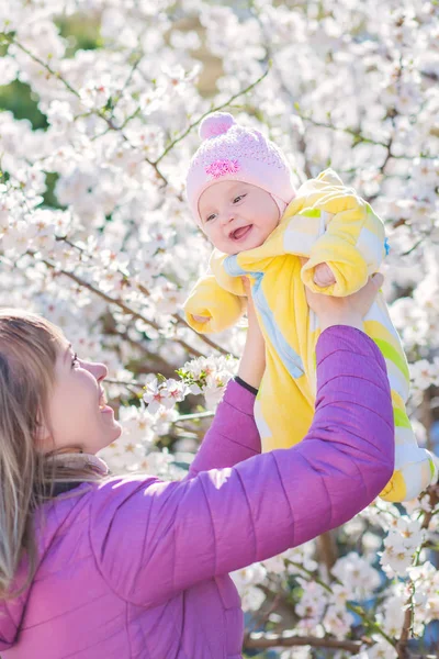 Mutlu bir aile. Anne el kadar çocuk çiçek açan elma ağaçlarında güneşli parkta atar. Olumlu insan duyguları, duygular. Kiraz ve elma çiçeği. Bahar zamanı. açık havada.