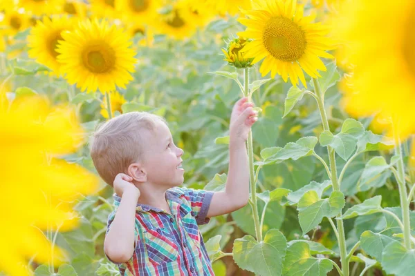 Ragazzino Felice Sul Campo Girasoli Estate — Foto Stock