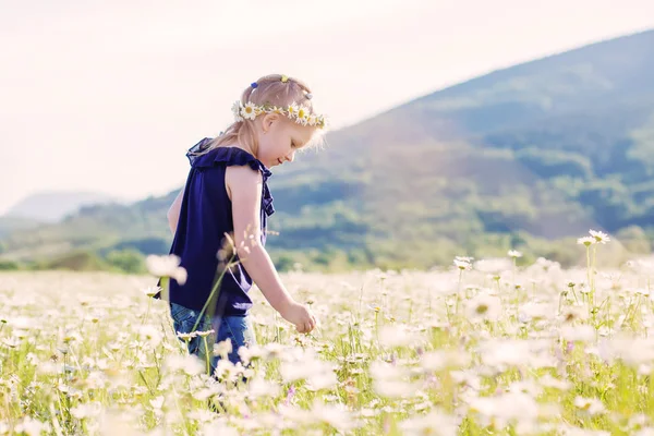 Nettes Kleines Lächelndes Mädchen Frühling Kamillenfeld — Stockfoto