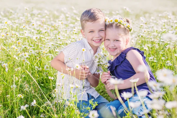 Glada Lilla Barn Ett Kamomill Fält Solig Vårdag — Stockfoto