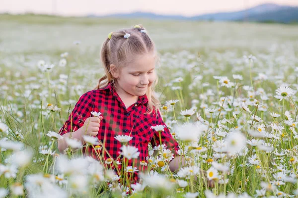 Cute Little Smiling Girl Chamomile Field Spring — Stock Photo, Image