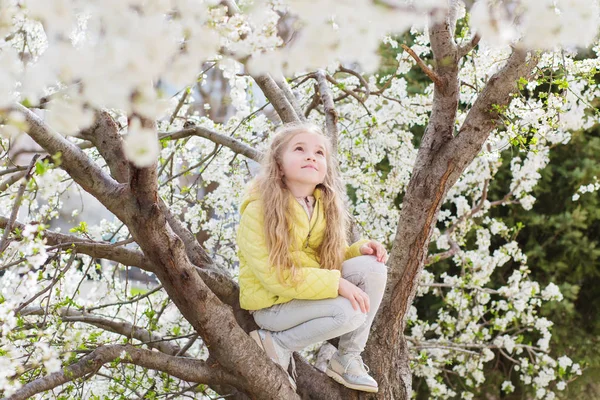 Adorable Little Girl Blooming Cherry Tree Garden Beautiful Spring Day — Stock Photo, Image