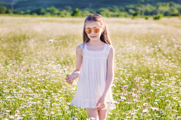 Roztomilý Preschooler Dívka Vypadá Boku Poli Sedmikrásky — Stock fotografie