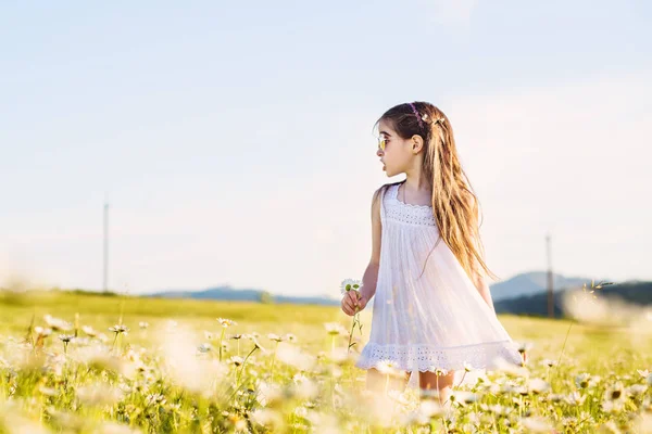 Nettes Vorschulmädchen Schaut Zur Seite Wenn Mit Gänseblümchen Feld Spaziert — Stockfoto