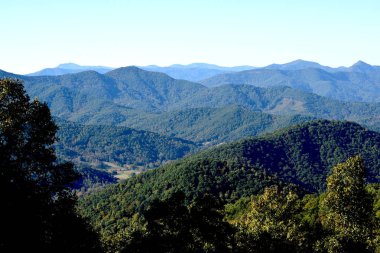 Blue ridge Mountains Asheville, North Carolina. Pisgah Ulusal Ormanı. Dağ sırtı. 