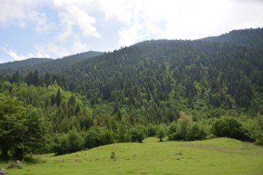 Kafkasya, Gürcistan, Svaneti, dağlar, seyahat