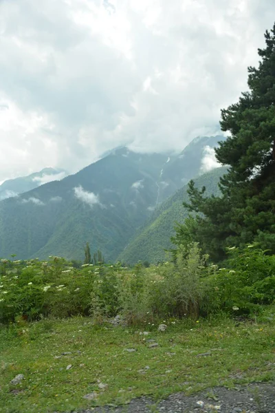 Kafkasya Gürcistan Svaneti Dağlar Seyahat — Stok fotoğraf