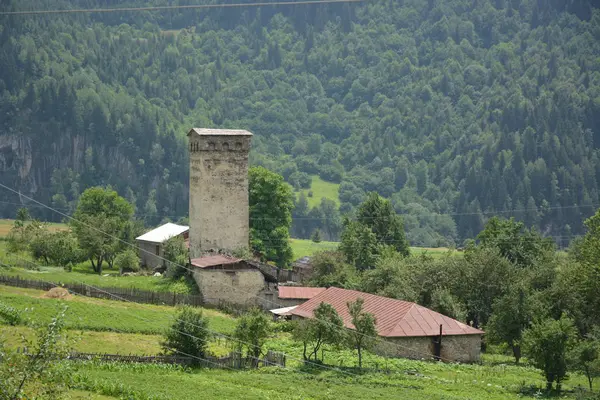 Кавказ Грузія Сванетія Svan Tower — стокове фото