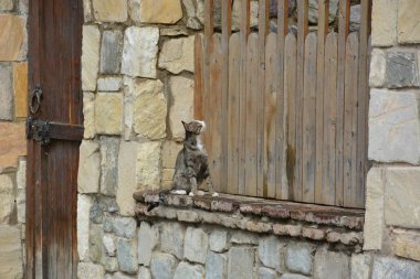 Kafkasya, Gürcistan, Mtskheta, seyahat, eski şehir, bina, kaldırım
