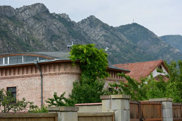 Kafkasya Gürcistan Mtskheta Seyahat Eski Şehir Bina Kaldırım — Stok fotoğraf
