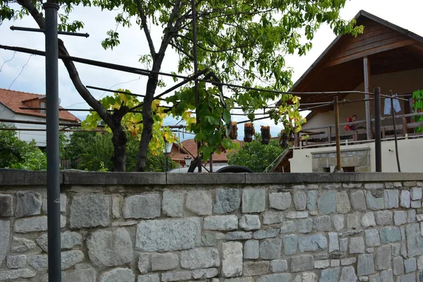 Kaukasus Georgia Mtskheta Perjalanan Kota Tua Bangunan Paving — Stok Foto